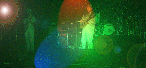 netpixween11[1] 