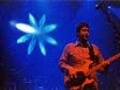 bluerob.jpg_120_90