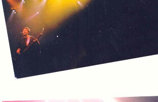 Rob Jammin