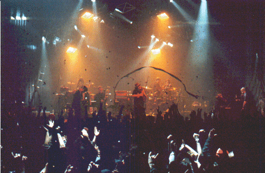 NYE celebrarion 