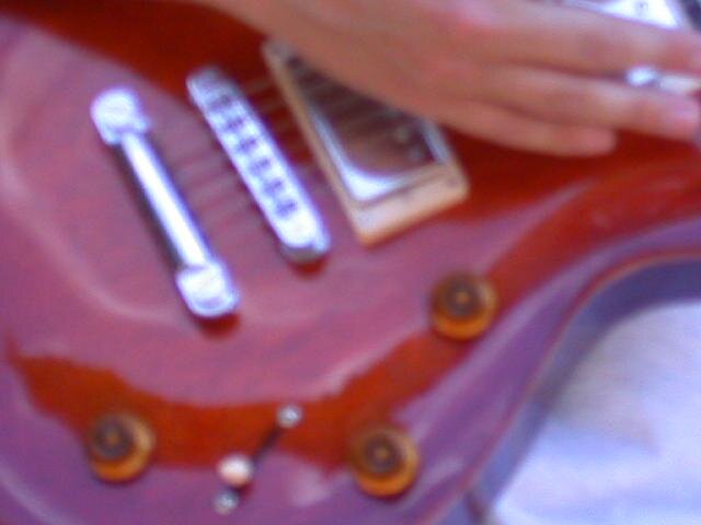 DSCN5398 