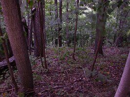 DSCN5712