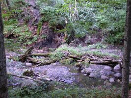 DSCN5714