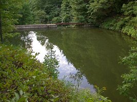 DSCN5727