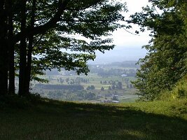 DSCN5745