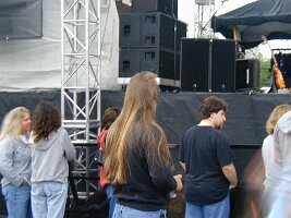 mullett42503