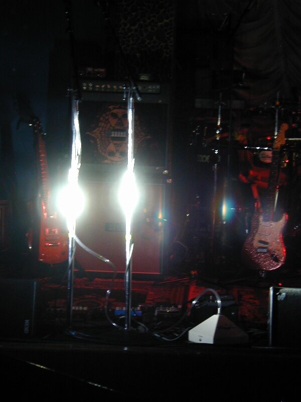 monkeys23 