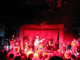 monkeys19
