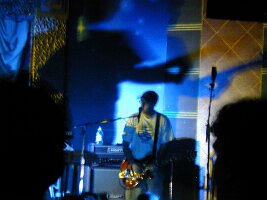 monkeys21
