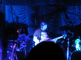monkeys22