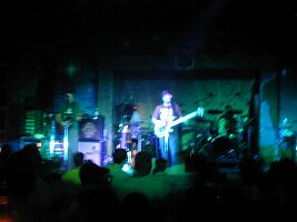 monkeys5