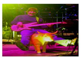Rob-jammin-on-the-mayor