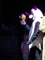 Picture 073