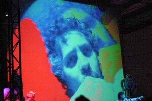 IMG_0571