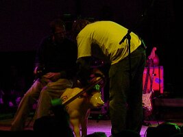 Picture 092