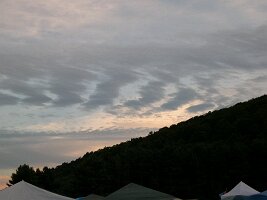 DSCN0131