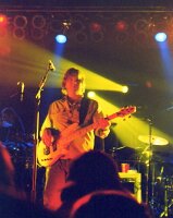 5_bur-yel-rob