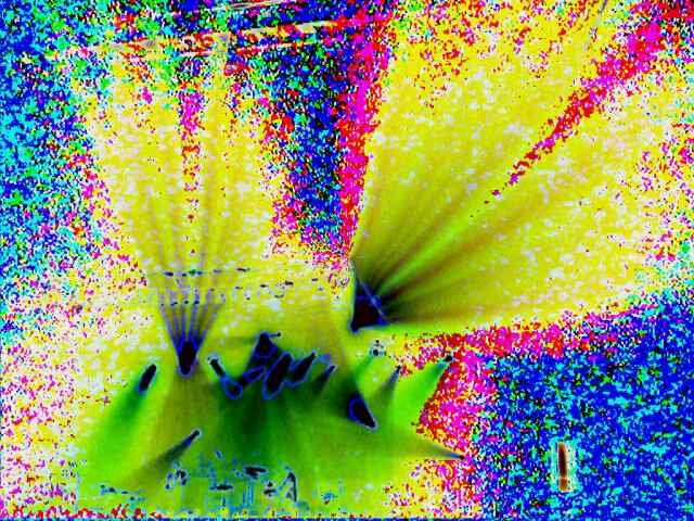 mtwt4c0074al0817dbys2 