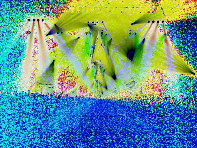 mtwt4c0098al2081dbys2 