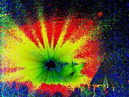 mtwt4c0071al0645dbys2