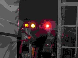 rob1(9)