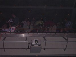 tn_Img0016