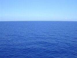 tn_Img0029