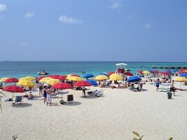 tn_Img0132