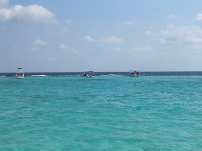 tn_Img0196 