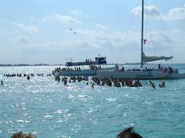 tn_Img0195
