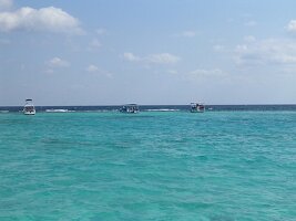 tn_Img0196