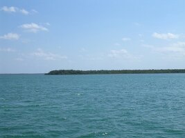 tn_Img0197