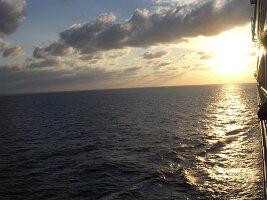 tn_Img0207