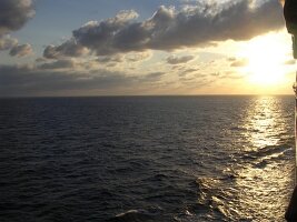 tn_Img0208
