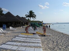 tn_Img0303