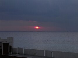 tn_Img0310