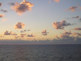 Picture 037(1)