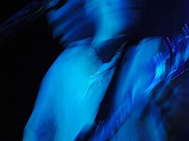 tn_P3140163