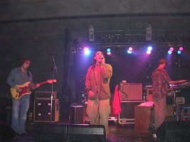 tn_Img0378