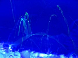 IMG_4054