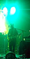 nhalgreen