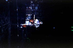 IMG17