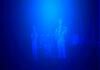 netpixween9[1].gif_100_70 