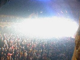 moellaween113_Processed