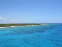 tn_Img0255