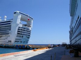 tn_Img0257
