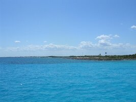 tn_Img0258
