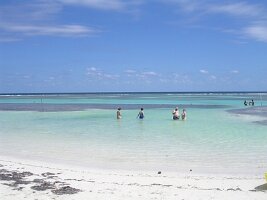 tn_Img0260