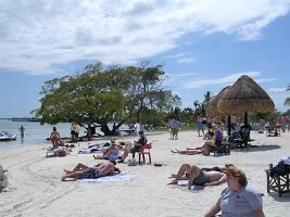 tn_Img0261