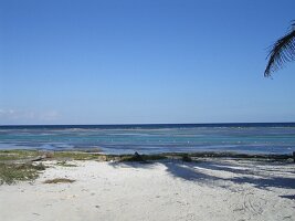 tn_Img0262